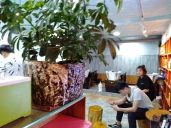 -发界studio日系沙龙