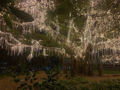 -布里斯班南岸公园