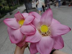 -哈尔滨极乐寺
