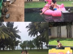 -三亚海棠湾万丽度假酒店