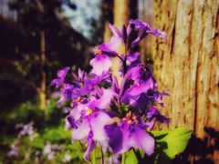 -停车场(临桂路)