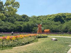 -苏州上方山国家森林公园