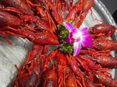 -京悦南门涮羊肉·羊蝎子火锅(田林路店)