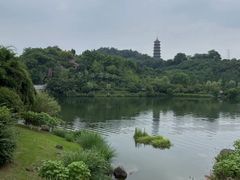 -重庆园博园