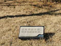 -牛岗山公园