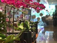 -桃花源中餐厅(金茂豪华精选酒店)