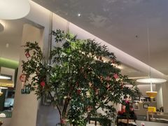 -Aqua Oasis 水天堂(太湖中心mall店)