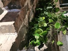 -临街徽菜馆·正宗黄山味
