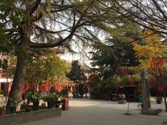 -西安青龙寺遗址景区
