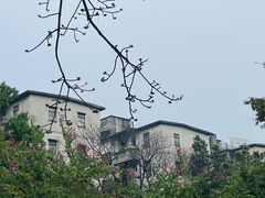 -垂虹公园