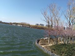 -大兴滨河森林公园