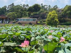 -广州莲花山旅游区