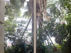 -复旦大学附属华山医院(总院)