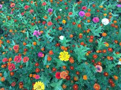 -北京国家会计学院