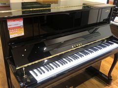 -柏斯琴行(汾阳店)