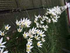 李白纪念馆-李白纪念馆