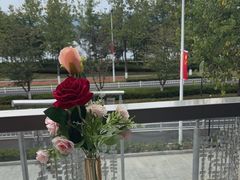 -宝荣鱼馆·临湖之宴(千岛湖店)