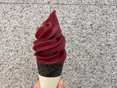 冰山杨梅脆筒-喜茶(常州新北万达店)