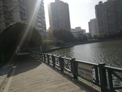 -喷泉公园