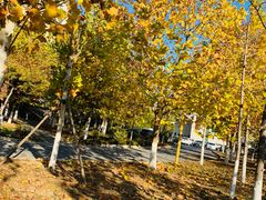 -中家鑫园温泉酒店鑫悦汤泉