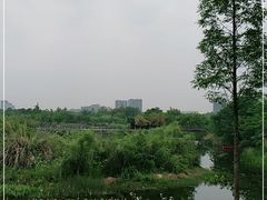 -眉山湿地公园(东坡区)