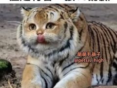 -优昂健身(新光界店)