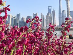 -北外滩滨江绿地