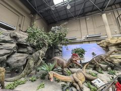 -国家自然博物馆