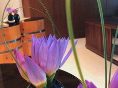 -三亚海棠湾仁恒皇冠假日酒店·大堂吧