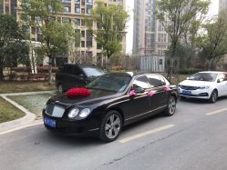 -蚂蚁婚车
