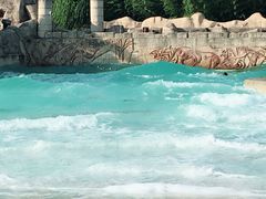 -太阳岛度假酒店