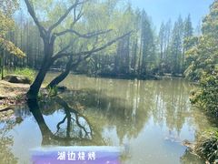 -上海滨江森林公园