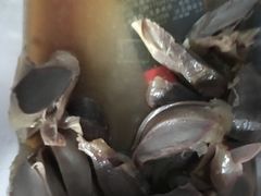 -陈光记烧腊(长寿路店)