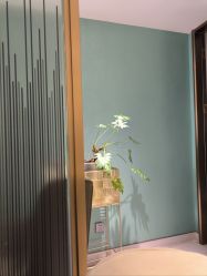 -云南吴氏嘉美医疗美容医院