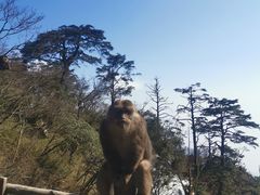 -峨眉山风景名胜区