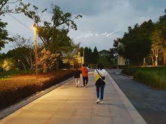 -长田漾湿地公园