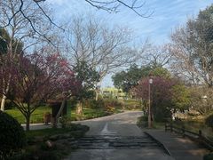 -中国茶叶博物馆(双峰馆区)