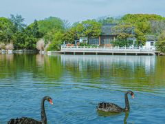 -无锡蠡湖国家湿地公园-蠡园