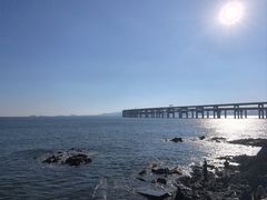 -星海湾跨海大桥