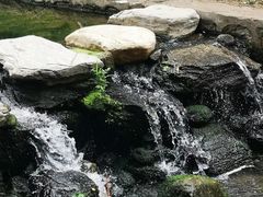 -白水寺森林公园