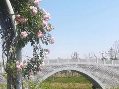 -尚贤河湿地