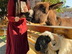 -HERRE·FARM 赫尔露营农场·团建聚会包场