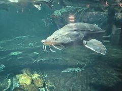 -华夏文旅西安度假区