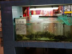 -真浪大家乐海鲜餐馆