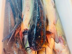 -江湖水乡铁锅炖魚(周庄嘉园店)