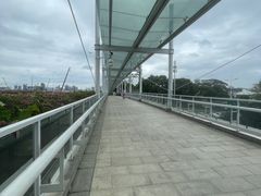-深圳湾公园(南山区)