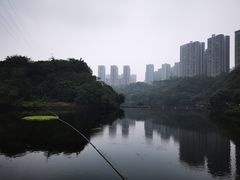 -重庆彩云湖湿地公园