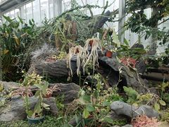 -国家植物园南园