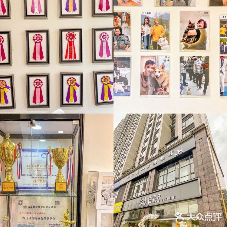 🦀️成都｜明星同款宠物店❗️毛孩子的快乐星球