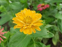 -大宁郁金香公园-停车场